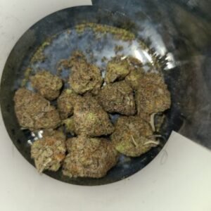 Black Truffle Garlic Weed Strain