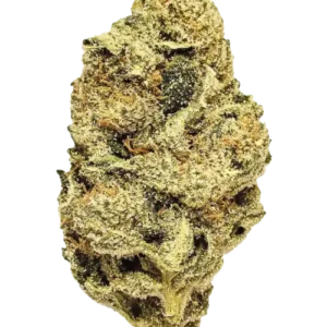 Terps Home psychedelics BANANA RUNTZ