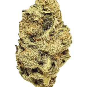 BANANA RUNTZ