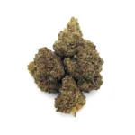 Donny Burger | 1/8 oz. by Bailey's Buds 66b0ea1442c932c5e692ab77 Donny Burger 3.5g P 500 150x150