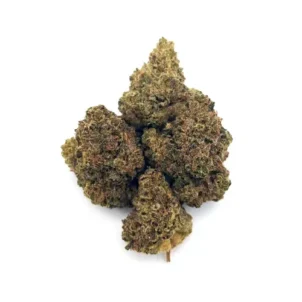 marijuana weed  by Bailey's Buds