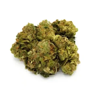 Rainbow Runtz | Mini-Buds | 1/8 oz. | Therapy