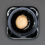 6945a1e205669cea9dcbd21b Oranguava Live Hash Rosin 1g 150x150