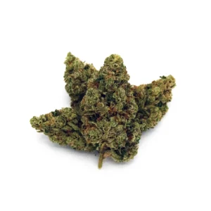 Lineage: Hindu Kush x OG Kush