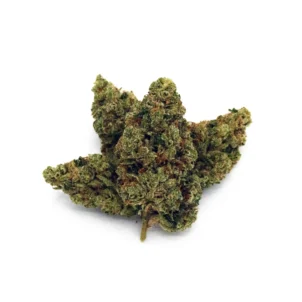 Lineage: Hindu Kush x OG Kush