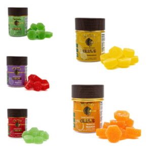 Terps Home psychedelics BIG CHIEF - GUMMIES - NANO GUMMIES - 500MG (10 PIECES PER CONTAINER - 50MG PER PIECE)