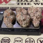 IMG 4178.jpeg 150x150