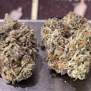 BLUE CANDY GELATO