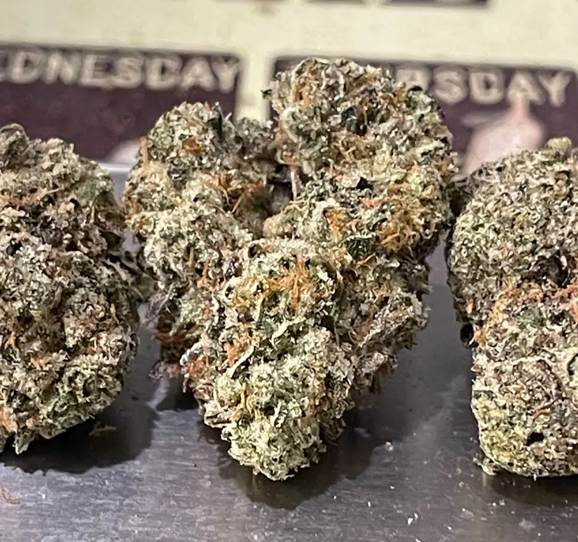 IMG_6532.jpeg BLUE CANDY GELATO - Image 4