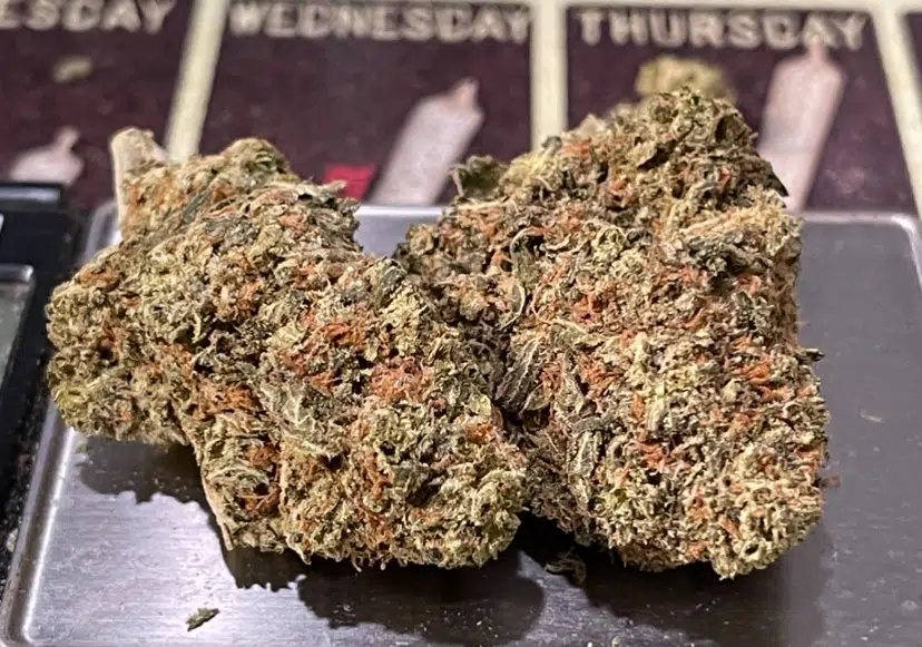 IMG_7390.jpeg RED POP RUNTZ - Image 6