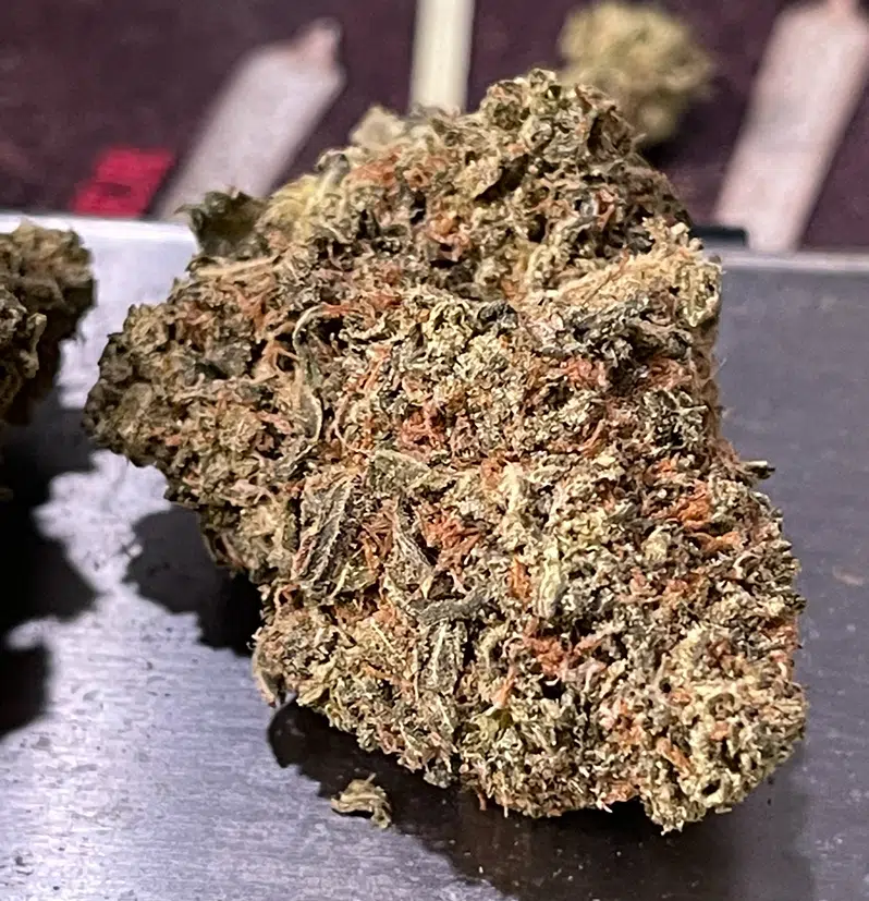 IMG_7392.jpeg RED POP RUNTZ - Image 4