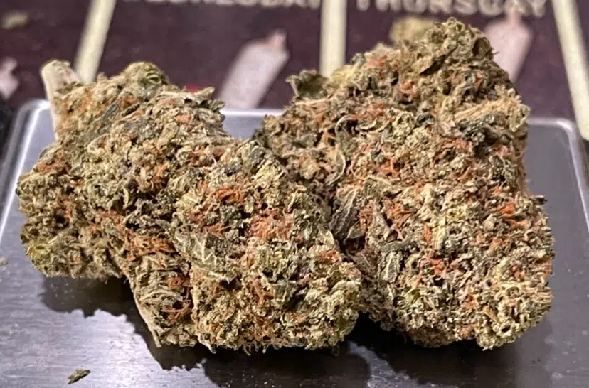 IMG_7393.jpeg RED POP RUNTZ - Image 3