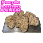 PURPLE LEMON PUNCH Photoroom 20251218 121605.jpeg 150x150