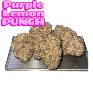 PURPLE LEMON PUNCH