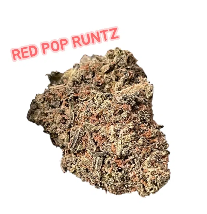 Photoroom_20251225_114500.jpeg RED POP RUNTZ
