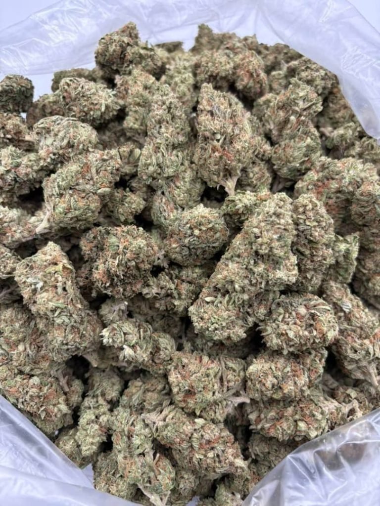 WhatsApp-Image-2025-12-04-at-22.28.55_857cd6ac-768x1024 BANANA RUNTZ - Image 2