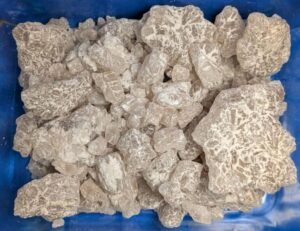 Champagne Display 768x591 1 300x231