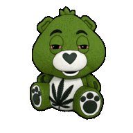 Terps Home psychedelics 36849