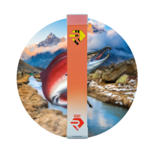 import placeholder for 15754